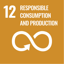 Sustainable Development Goal 12: Responsible Consumption and Production