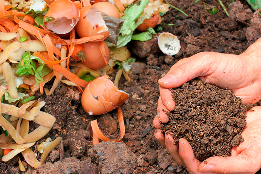 Sustainability at ALL iFOODS