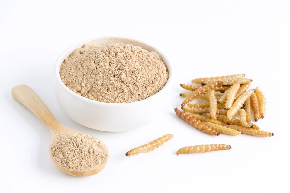 Insect Bioconversion Process